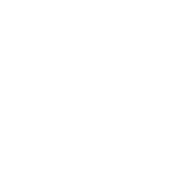 Ace Posts